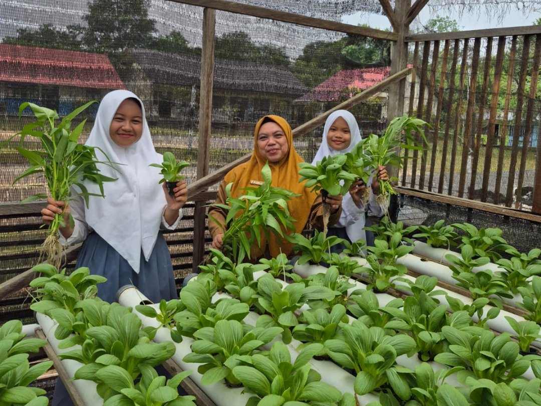Pembelajaran Mendalam : Menanam Harapan di Pedalaman Katingan Melalui Ketahanan Pangan Sekolah