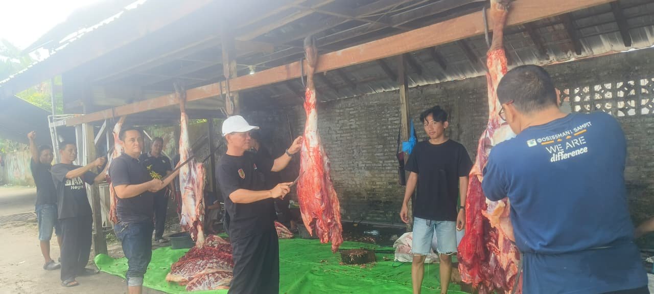 SMAN 1 Sampit Berqurban Lima Ekor Sapi, Wujud Pendidikan Karakter dan Kepedulian Sosial di Hari Raya Idul Adha